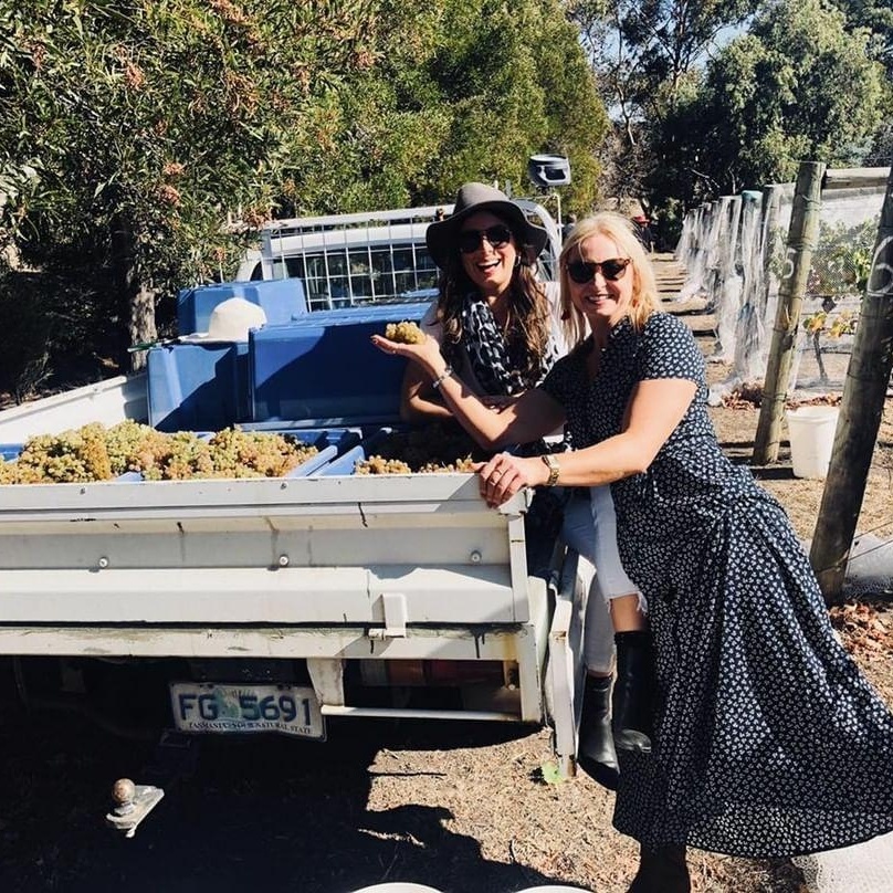 wine tour tasmania hobart